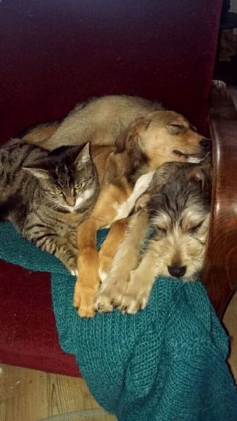 Meine Jungs ...