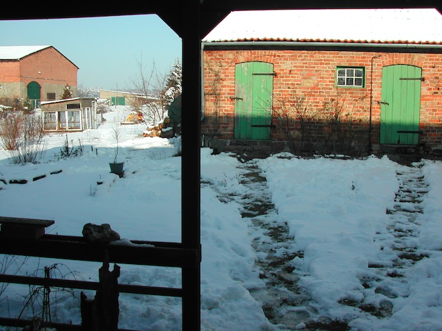 winter wunderland