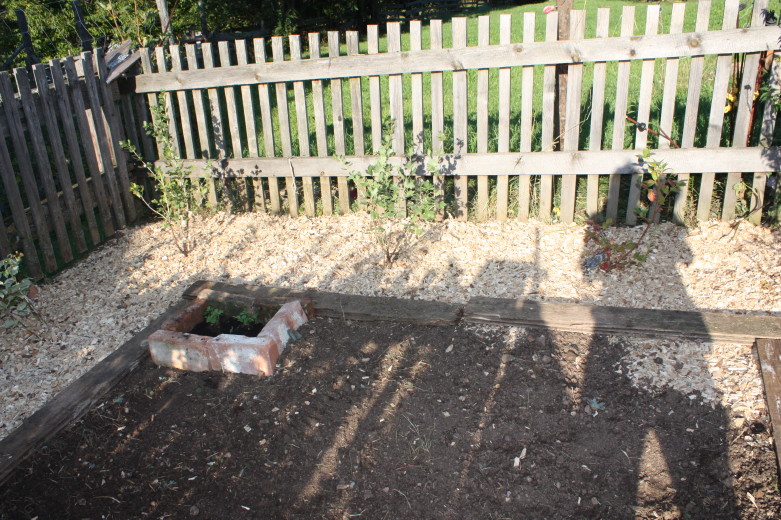 Beerengarten