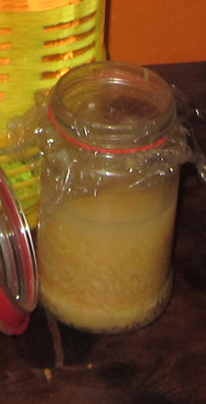 Pastinake_fermentiert.jpg