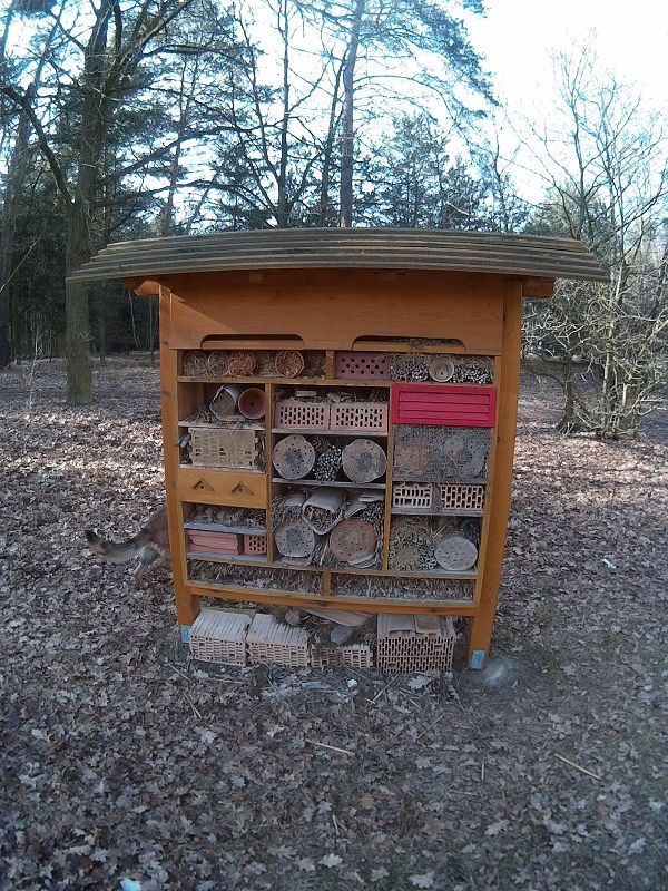 k-4Insektenh.jpg