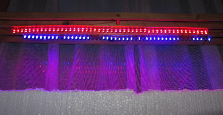 Blaue_LED-Leiste_schwaechelt.jpg