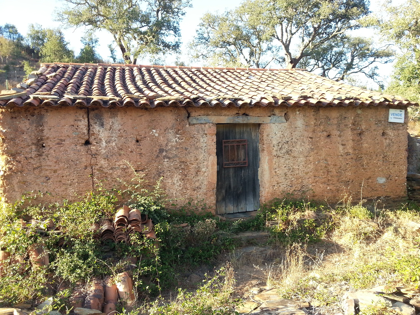 Minha Casa Januar 2015