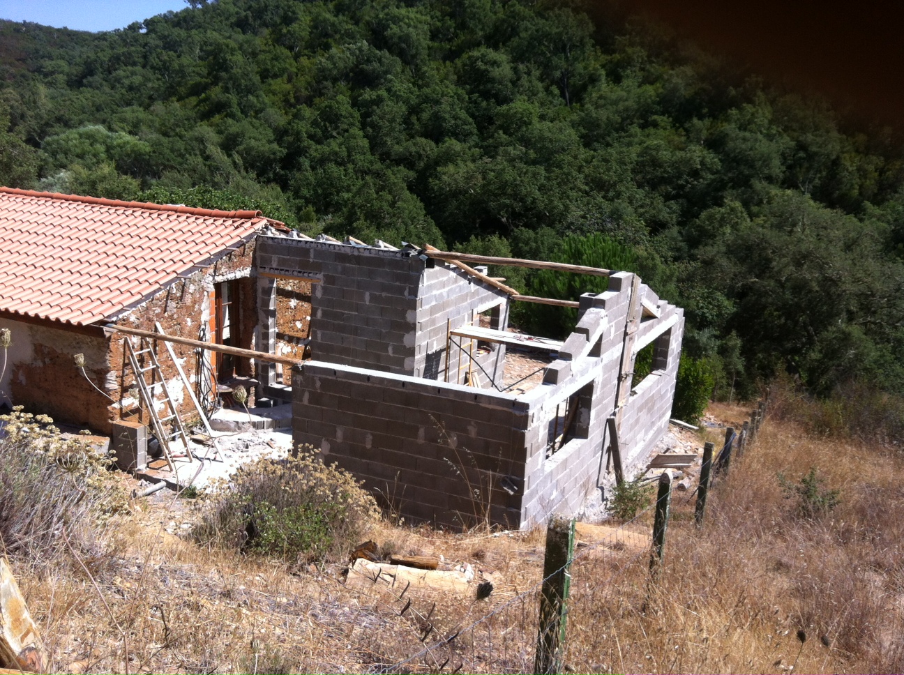 Anbau