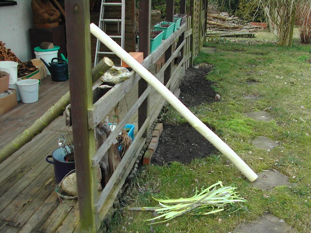DSCN7540.JPG