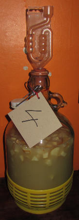 Topinambur-Country-Wine.jpg