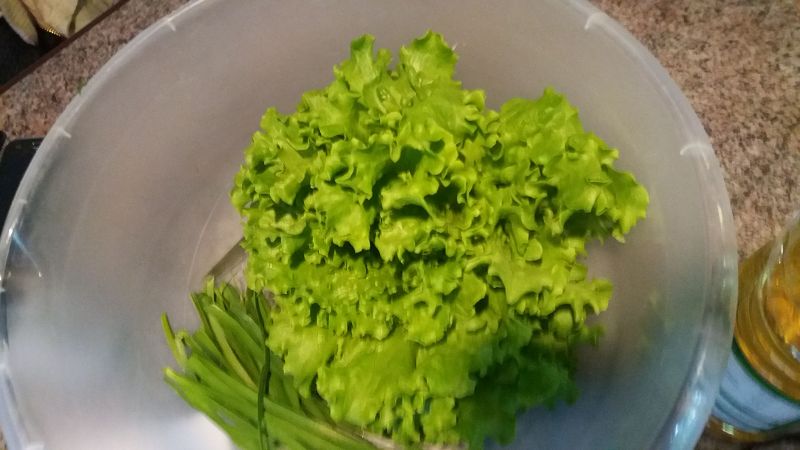 k-3kopfsalat.jpg