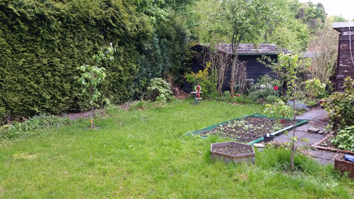 strebergarten.jpg