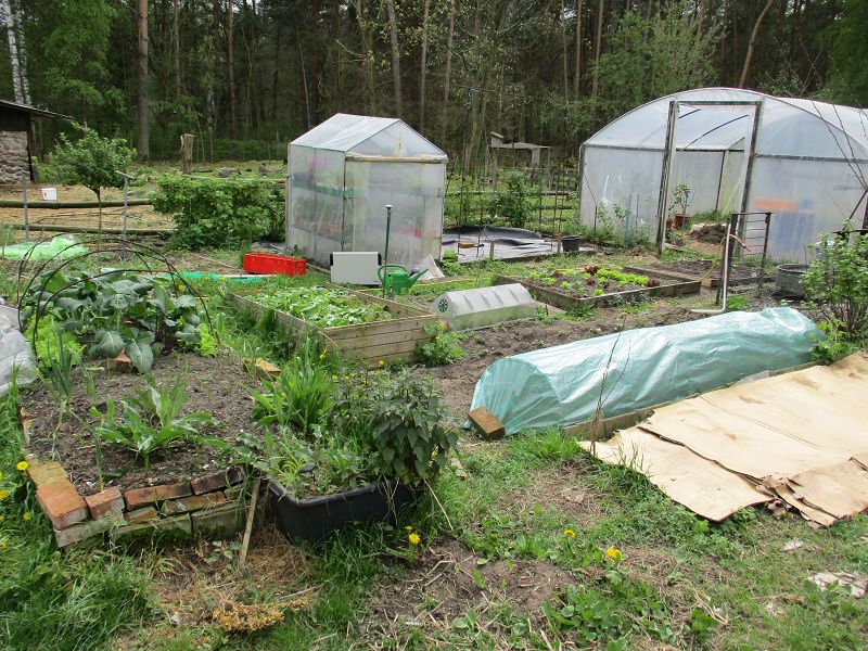 k-nutzgarten.jpg