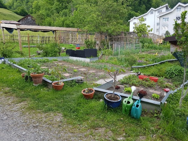 20170518_145519-800x600-640x480.jpg