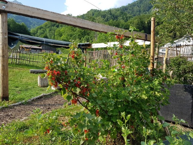 20170529_180543-800x600-640x480.jpg