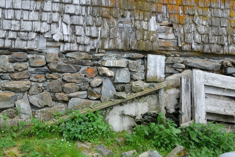 Hühnereingang