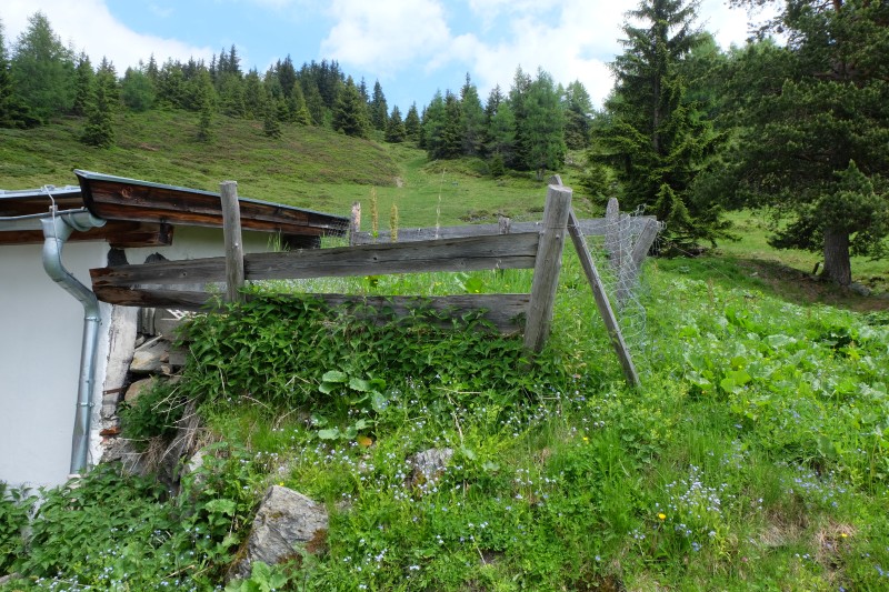 DSCF2533.JPG