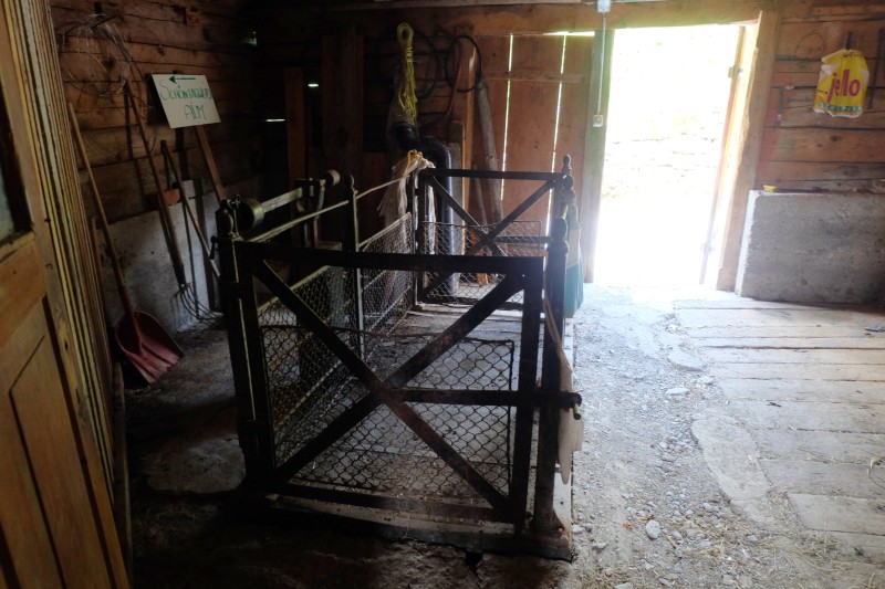 DSCF2567.JPG
