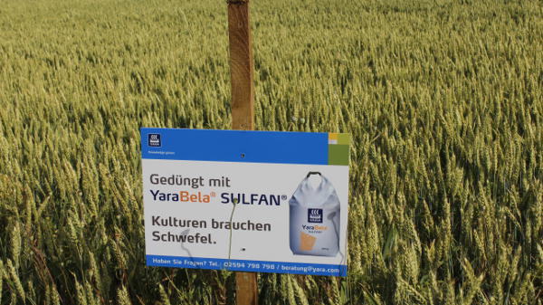 Brauchen_Pflanzen_Schwefel.jpg