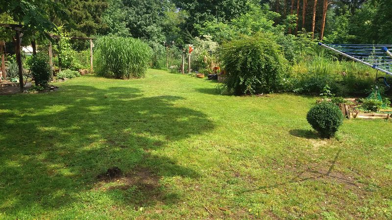 k-5Garten ohne krams.jpg