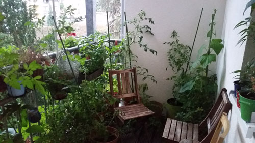 20170719_053606.jpg