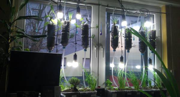 Die Windowfarm