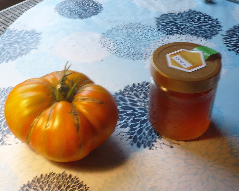 Tomate.jpg