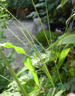 DSCI0234.JPG