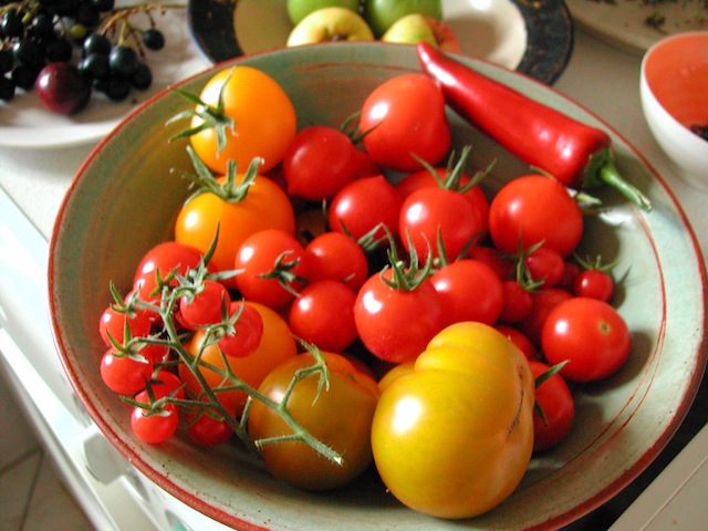 DSCN7889.JPG