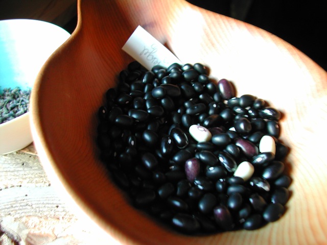 DSCN7886.JPG