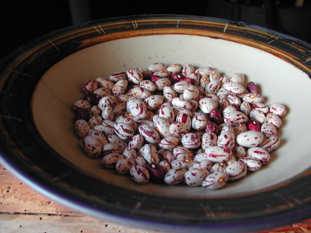 DSCN7885.JPG