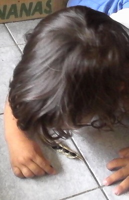 IMG0580A.jpg