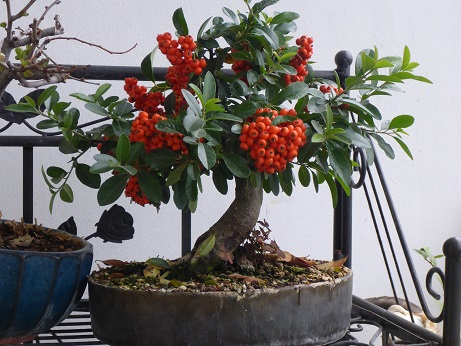 september 003.....jpg