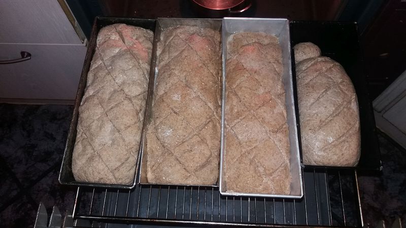 k-6brot.jpg