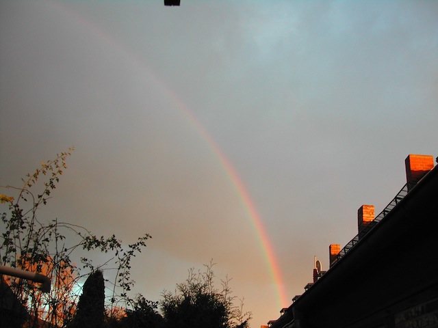 DSCN7951.JPG