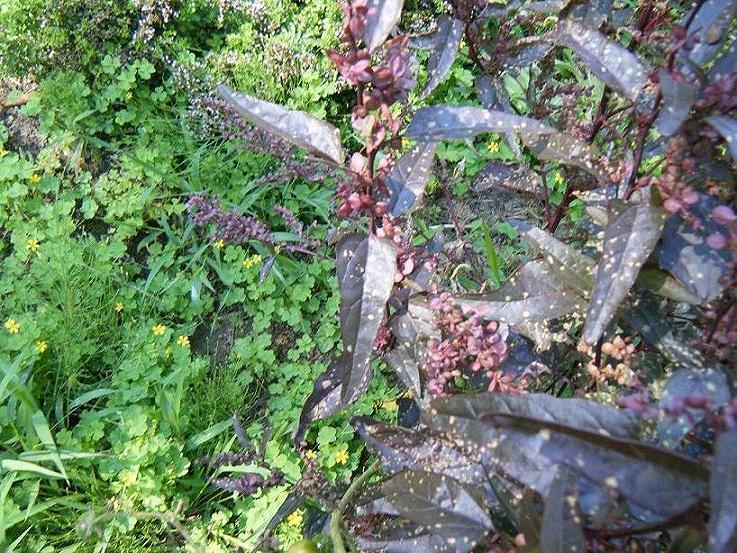 Bild 137.jpg