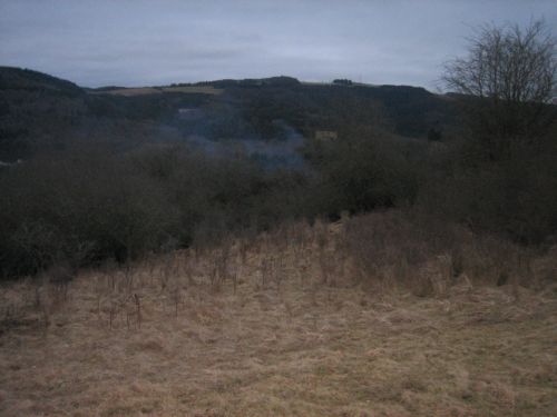Schlehen 001.jpg