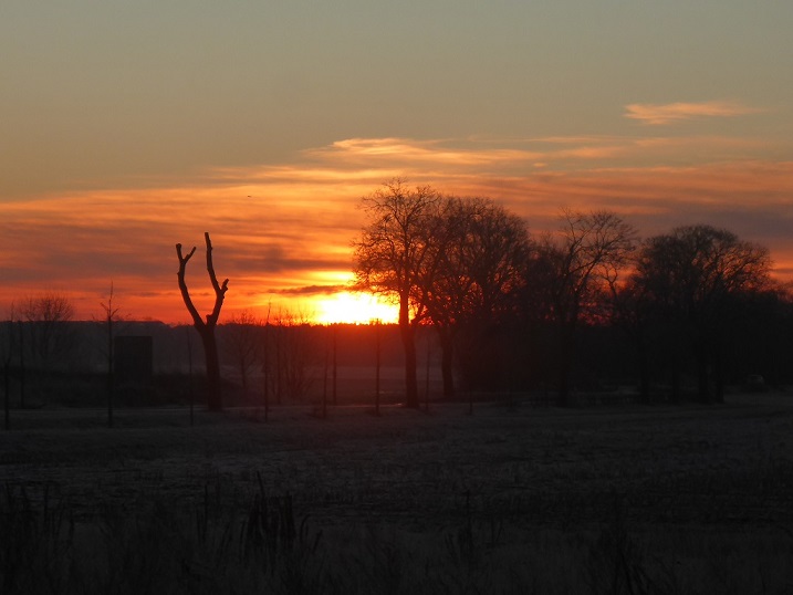 sonne 001b.....b.jpg