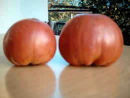 Tomaten für Großfamilie
