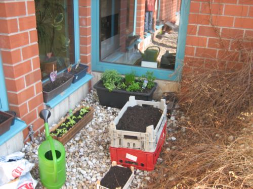 Grünzeug Schule 001.jpg