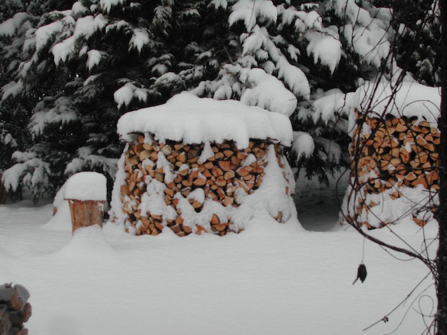 DSCN8058.JPG