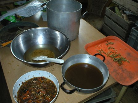 tajauberginensatgut fon gestern