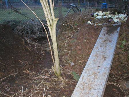 der neue kompost   ist schon  gross