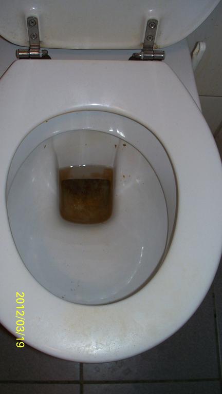Toilette.JPG