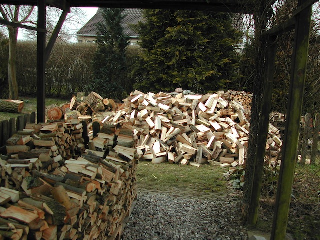 DSCN8161.JPG