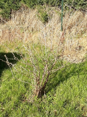 20180402_175815.jpg