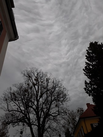 20180404_071809.jpg