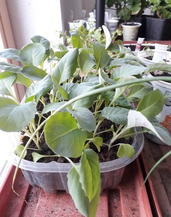20180410_111712.jpg