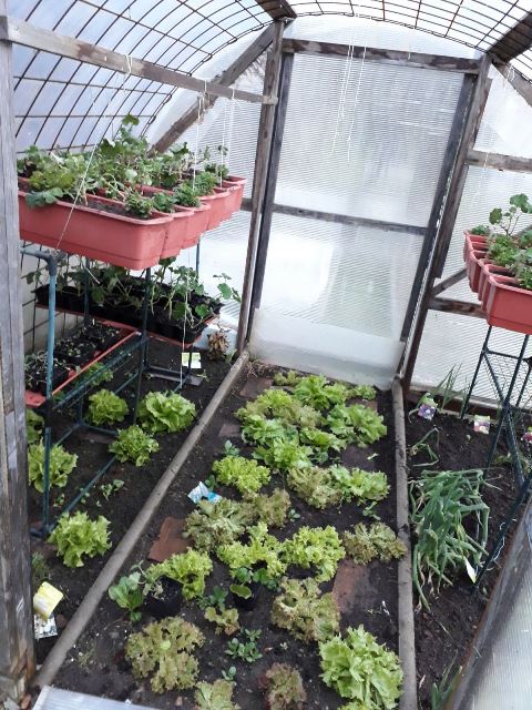 IMG-20180411-WA0007.jpg