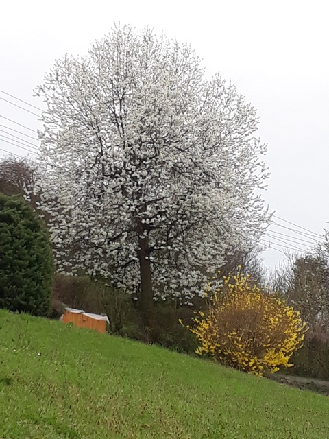 20180415_165204.jpg