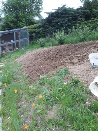 20180501_190442.jpg