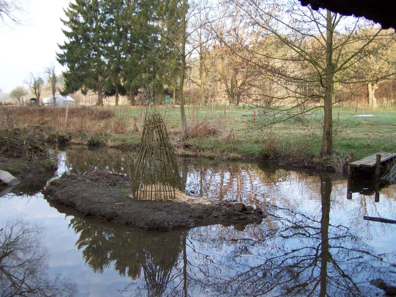 weidenbau4.jpg
