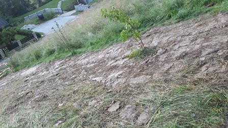 IMG-20180604-WA0011.jpeg