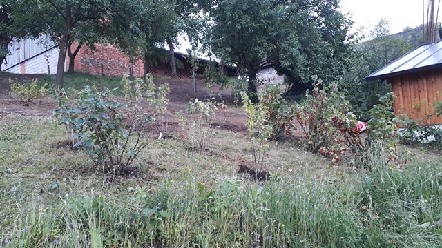 IMG-20180609-WA0015.jpeg